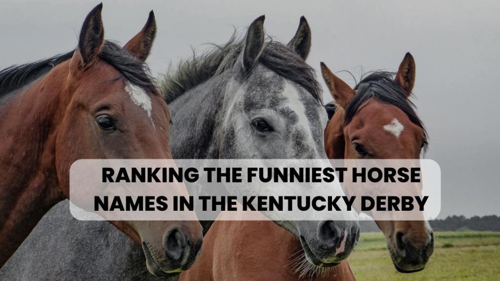 Ranking The Funniest Horse Names In The kentucky derby