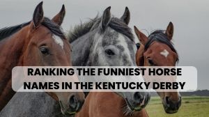 Ranking The Funniest Kentucky Derby Horses By Name